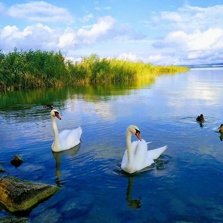 Foevenyes House Villa Balatonudvari Dış mekan fotoğraf