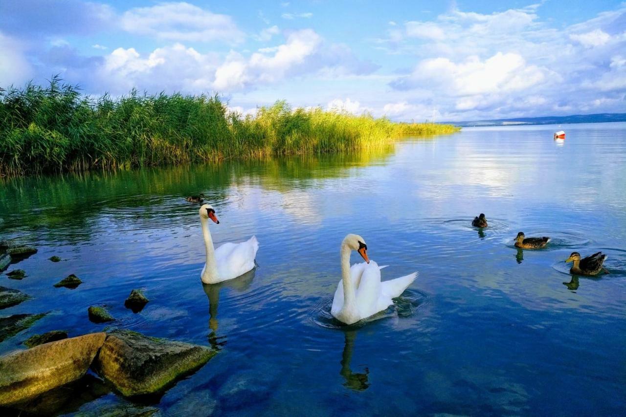 Foevenyes House Villa Balatonudvari Dış mekan fotoğraf